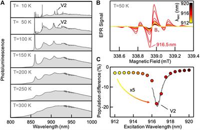 Superradiance of Spin Defects in Silicon Carbide for Maser Applications